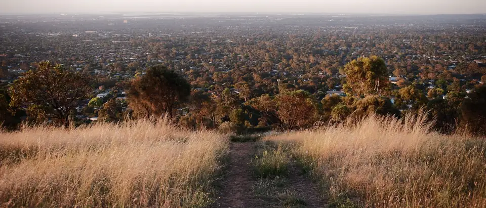 A grassy hill track looking out over a wide plain of suburbs and trees at dusk