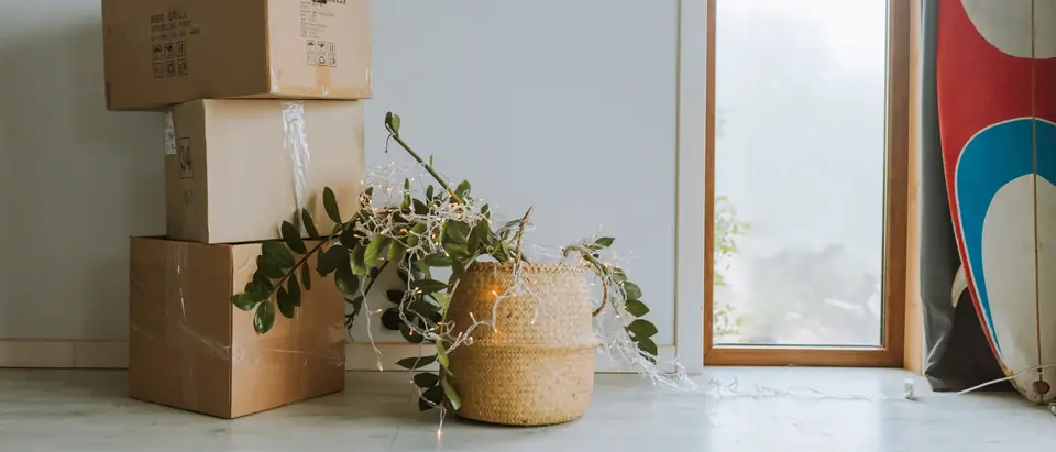 Three sealed cartons and a potted plant in a basket beside a tall window in a pale room